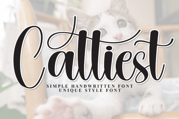 Cattiest: A Playful Display Font for Branding