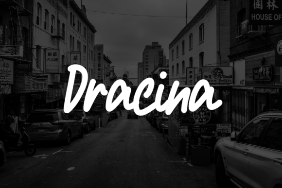 Dracina Typeface: Elevating Web Design with Elegance