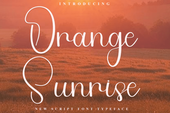 Orange Sunrise: A Festive Typeface for Branding
