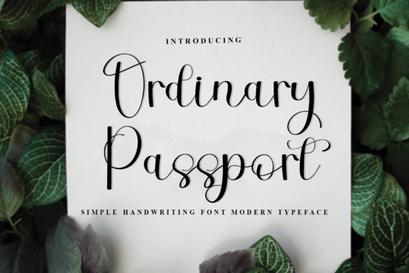 Ordinary Passport: A Warm Typeface for Editorial Design