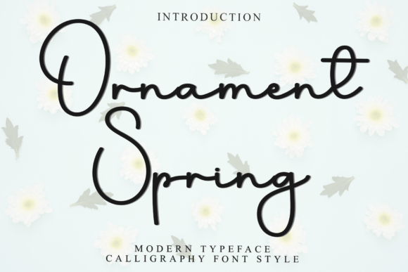 Ornament Spring Typeface Review for Web Design