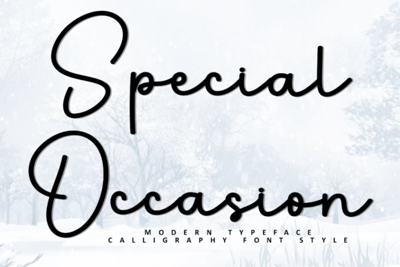 Special Occasion Font: Elevate Your Handmade Designs